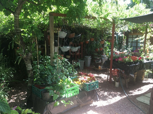 Imagen 9 de 30 de Casa + Vivero En Balneario Argentino