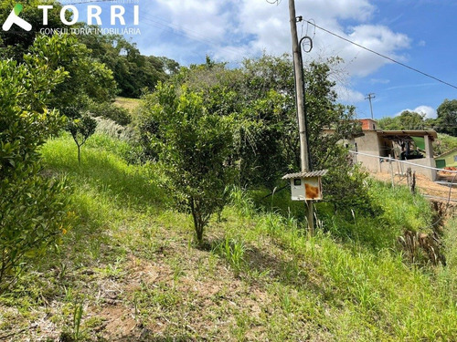 Imagem 24 de 30 de Chácara Á Venda 14.000,00 Metros No Bairro Dos Luz - Ch00418 - 70503143