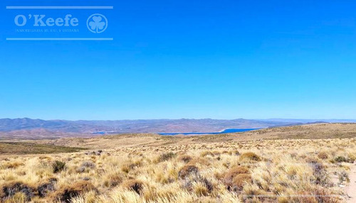 Imagen 5 de 30 de Campo En Venta De 14.000 Has En Neuquen Patagonia Argentina - Estancia Ganadera
