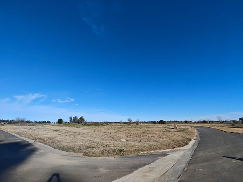 Venta Lote Los Pinares Country Club- Oportunidad!