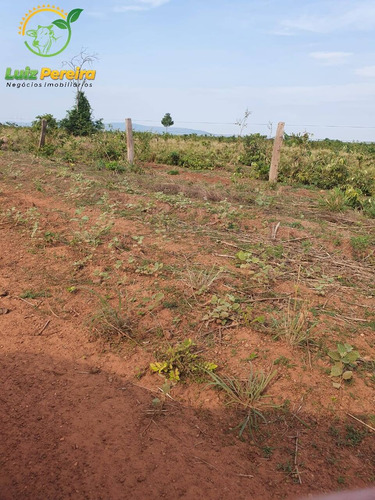 Imagem 9 de 15 de Fazenda À Venda Em São Valério - To - 8.470 Hec - Lavoura De Soja - 1822