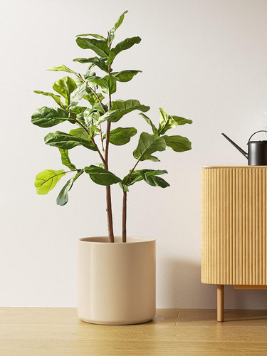 Maceta De Cerámica De 30 Cm Para Plantas Interiores