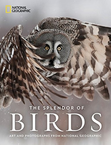 The Splendor Of Birds Art And Photographs From National Geog