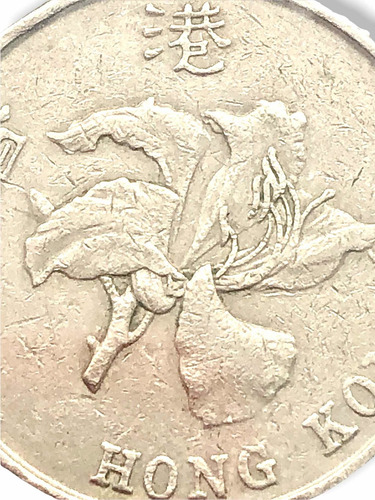 Moneda Antigua De Hong Kong De 5 Dólares Del Año 1993 (Usado)
