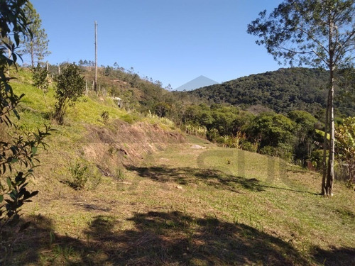 Imagem 1 de 28 de Chácara Modesta Com Boa Localização!!! - 272 - 69892463
