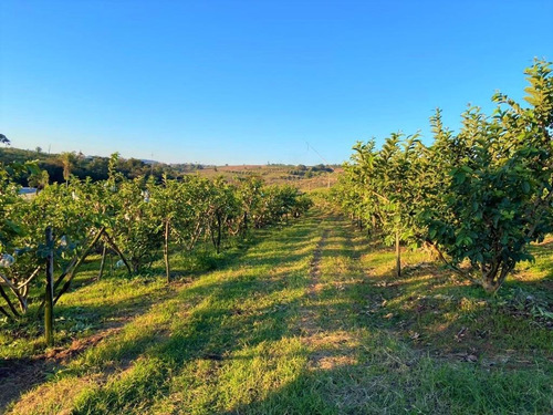Sitio A Venda Macuco, Valinhos, Leao Imoveis - Si0008