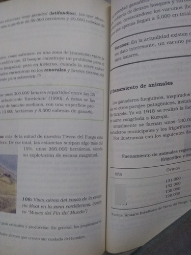 Tierra Del Fuego. Una Geografía Regional. Bondel 1995/175 P (Usado)
