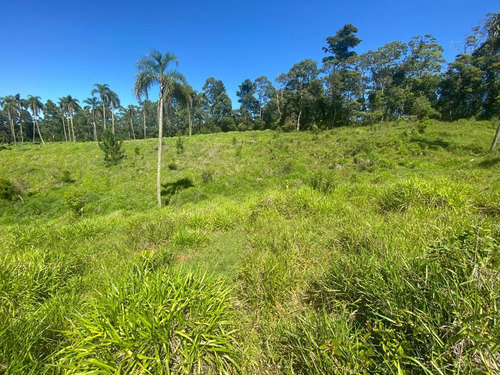 Imagem 5 de 12 de L35 Terreno Barato No Interior 1000m Apenas 45mil Á Vista