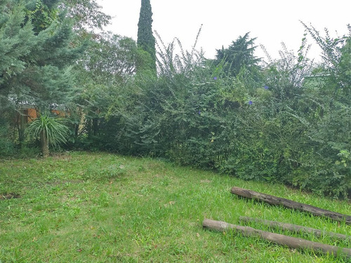 Imagen 3 de 5 de Terreno - Pilar