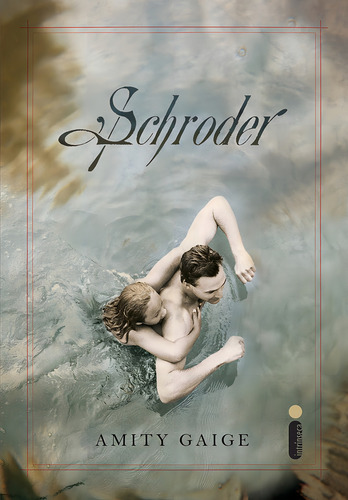 Schroder, de Gaige, Amity. Editorial Editora Intrínseca Ltda., capa mole em português, 2014