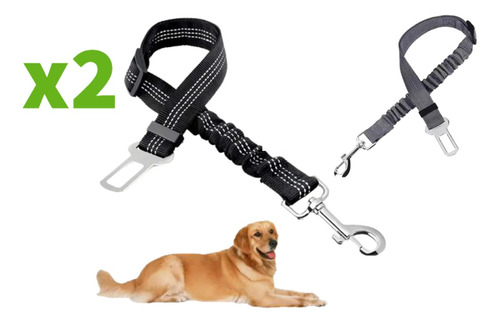 Cinturón De Seguridad Para Mascotas Auto Perro Gato X2