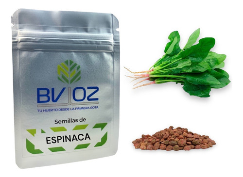 Semillas De Espinaca. Cultivo Agrícola