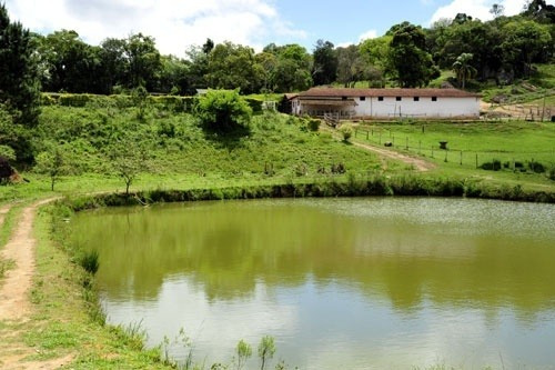 Imagem 21 de 30 de Haras A Venda Estado De Sao Paulo Cidade Piedade ( 4132 )