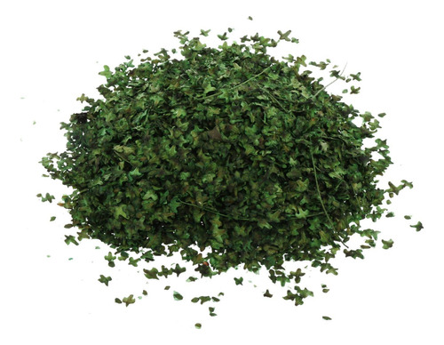 6 Hoja De Paisaje Modelo De 35ml, Hojas En Primavera Verde