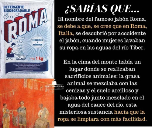 Roma Detergente En Polvo / Caja Con 10 Bolsas De 1 Kg