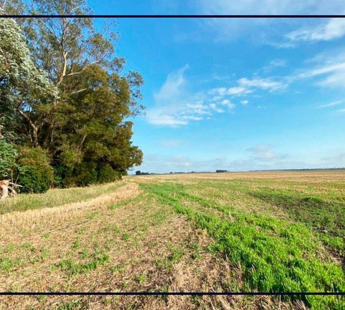 Imagen 2 de 6 de Venta Campo 51 Ha Papero