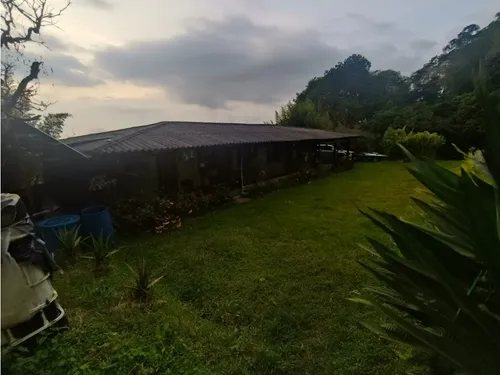 Se Vende Finca En Salento - Quindío