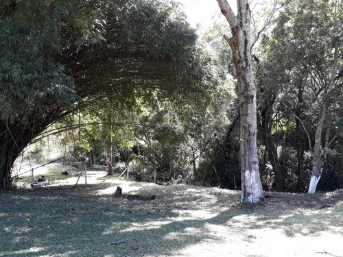 Imagem 3 de 4 de Com Área De 10.283 M² Cercada, Terreno Limpo, Platô Pronto