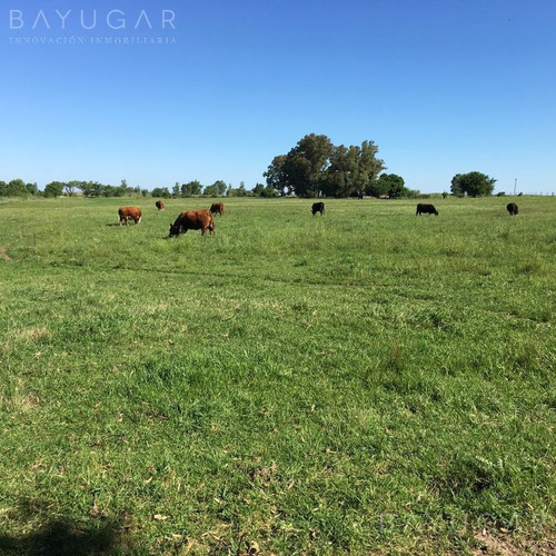 Imagen 29 de 30 de Venta - Campo En Cardales - Bayugar Negocios Inmobiliarios
