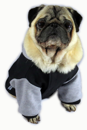 Imagem 7 de 9 de Roupa De Cachorro/gato Inverno Frio Moletom Capuz Universita