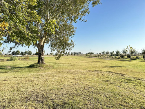 Terreno En La Reserva, Barrio De Chacras