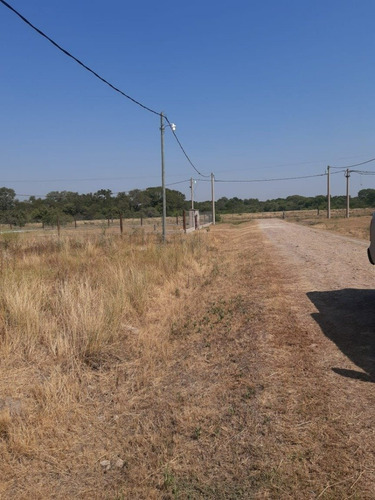 Imagen 2 de 11 de Terrenos De 1000 M2 A Pocas Cuadras Del Centro, Colonia Benítez!