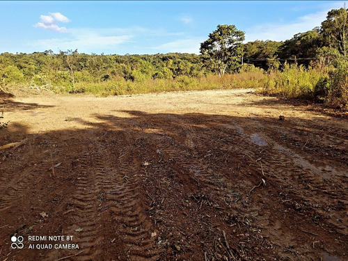Chácaras/ Lotes Na Região Do Ypê Amarelo