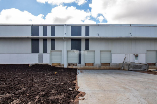 Alquiler Local Galpon Deposito Paso De La Arena Camino Bajo La Petisa 2500m2 Rampa Muelles De Carga