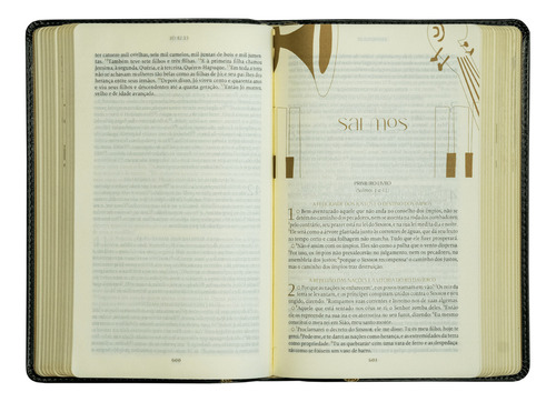 The Purpose Book: Bíblia Sagrada, A21, Capa Couro-soft Verde, Luz