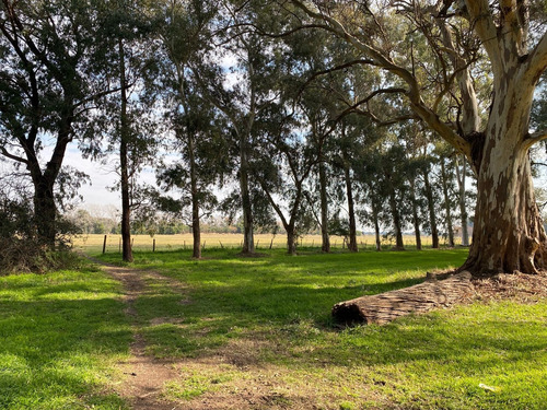 Lote Venta El Cardal Oportunidad ,cardales G.b.a. Zona Norte