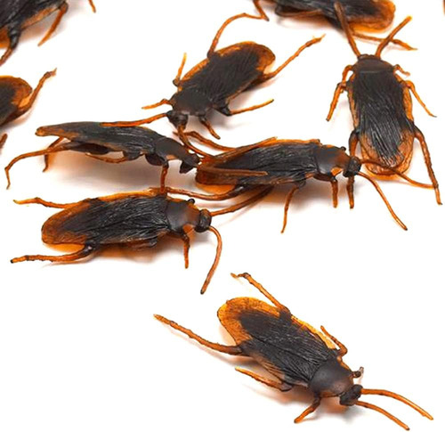 Gudves Broma Cucarachas Falsas Simulación De Goma Cucaracha