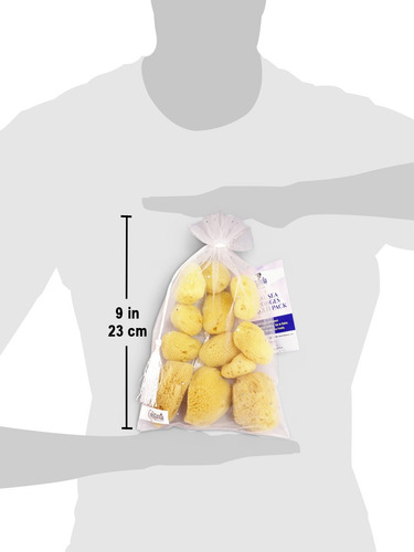 Esponjas De Seda Marina Natural, Paquete De 12, Tamaño 153,