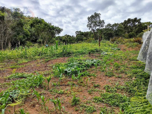 Chácara À Venda, 395775 M² Por R$ 1.100.000 - Três Córregos - Campo Largo/pr - Ch0011