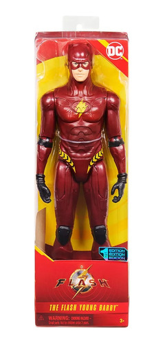 Muñeco Figura Articulada 30 Cm Flash Movie Flash Young Barry