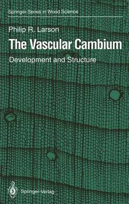 Libro The Vascular Cambium : Development And Structure - ...