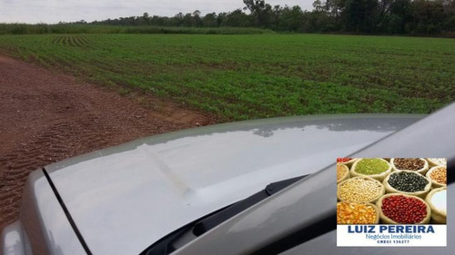 Imagem 2 de 8 de Fazenda A Venda Em Centenário - To, ( Agricultura ) - 590