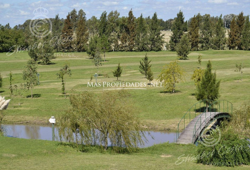 Imagen 3 de 6 de Terreno - Posadas De Los Lagos