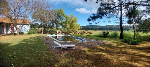 Imagen 3 de 16 de Venta Chacra En La Pataia Con Casa 4 Dormitorios