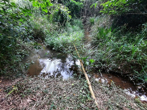Imagem 19 de 22 de (3100 M²) Chácara Bem Localizada, Com Espaço Para Construir. - 403 - 70403710