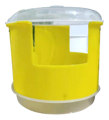 Bandeja De Germinação, Recipiente De Germinação, Amarelo