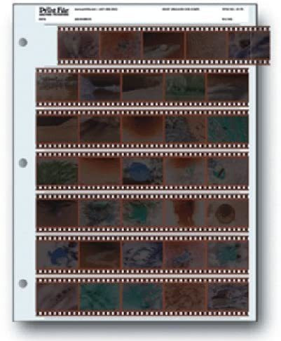 Imagen 1 de 1 de Almacenamiento De Archivo Hojas 35 7b25 De Película De 35 M