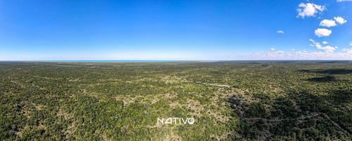 Imagen 12 de 30 de Terreno En Venta En Yucatan A 9 Min De La Playa Telchac Nati