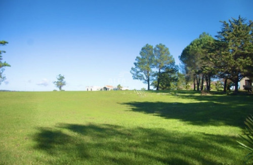 Imagen 2 de 30 de Chacra En Venta En Ruta 39