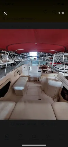 Canestrari 235 V6