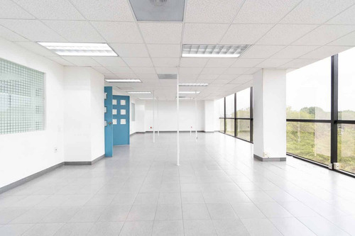 Renta Edificio Precio $300.00 M2