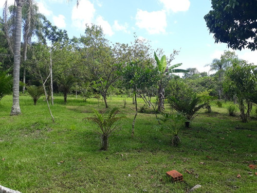 Sitio - St00009 - 33662085