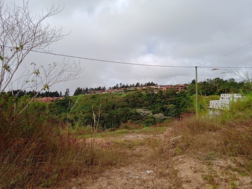 Imagen 5 de 9 de Terreno De 373 M2 En Conj Res Los Leones Llano Alto Carrizal
