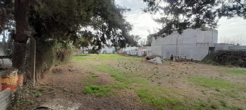 Terreno En Alfonsina Storni - Gral Pico, La Pampa