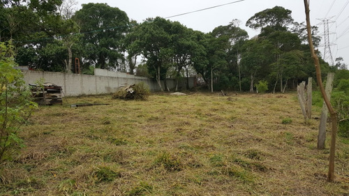 Imagem 4 de 7 de Vendo Terreno Na Ilha Do Borore Na Estrada De Itaquaquecetub