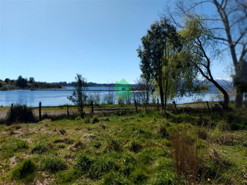 Imagen 3 de 11 de Sitio En Venta En Puyehue
